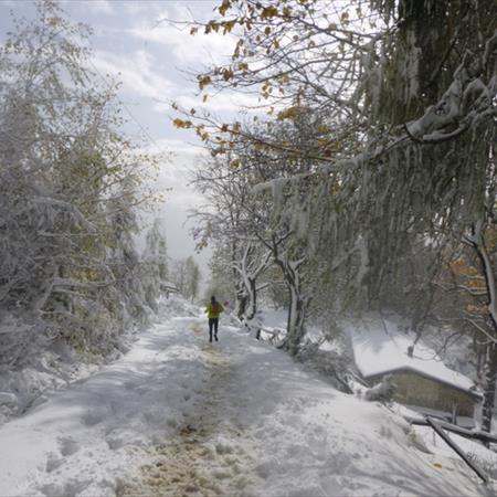 Trail del Monte Casto
