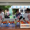 006 Al taglio frutta